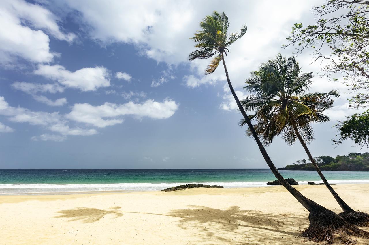 Black Rock Grafton Beach Resort מראה חיצוני תמונה
