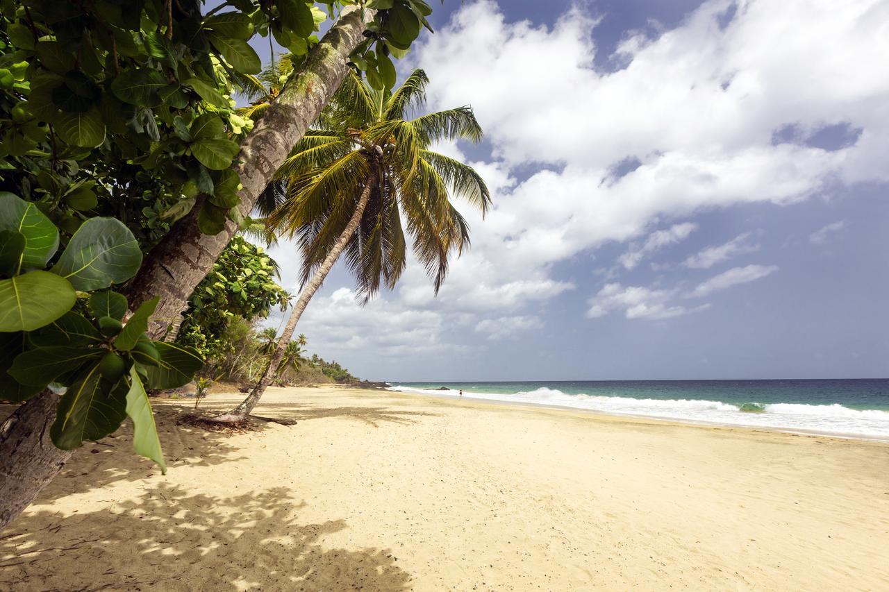 Black Rock Grafton Beach Resort מראה חיצוני תמונה