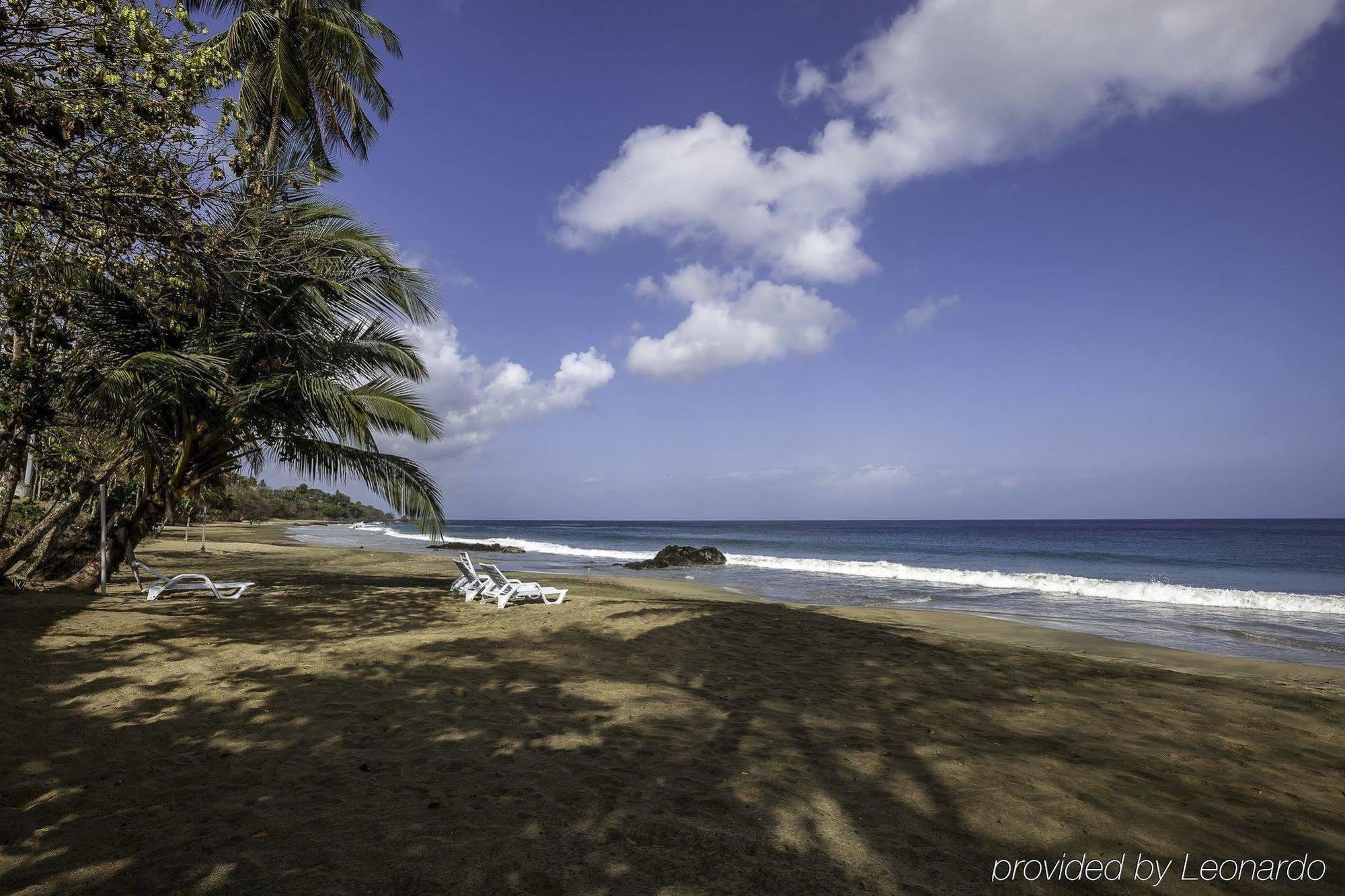 Black Rock Grafton Beach Resort מראה חיצוני תמונה