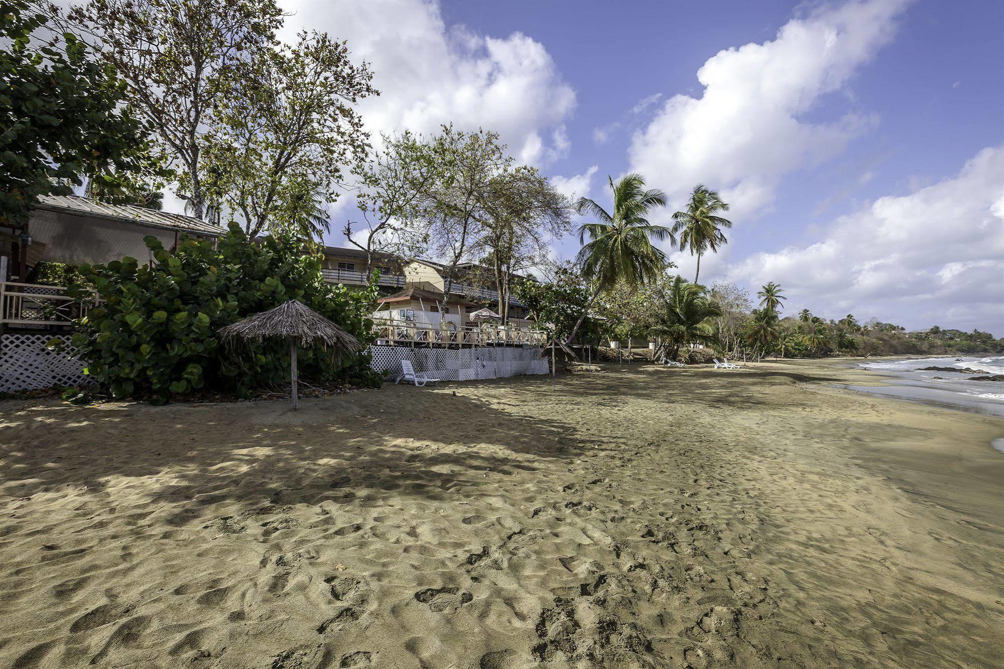 Black Rock Grafton Beach Resort מראה חיצוני תמונה
